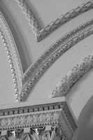 IMG_7953